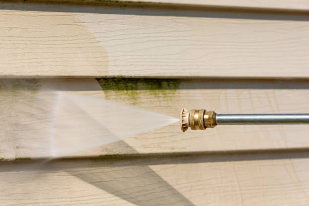 Best Pressure Washing Siding  in Waianae, HI